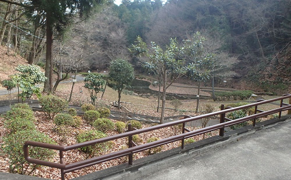 散策コースも整備されている