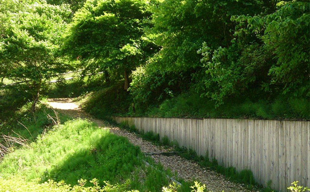 快適なセラピーロードが続く