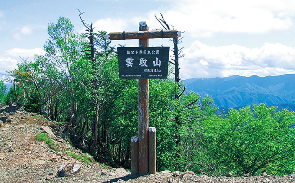 一等三角点近くに立つ山頂の道標