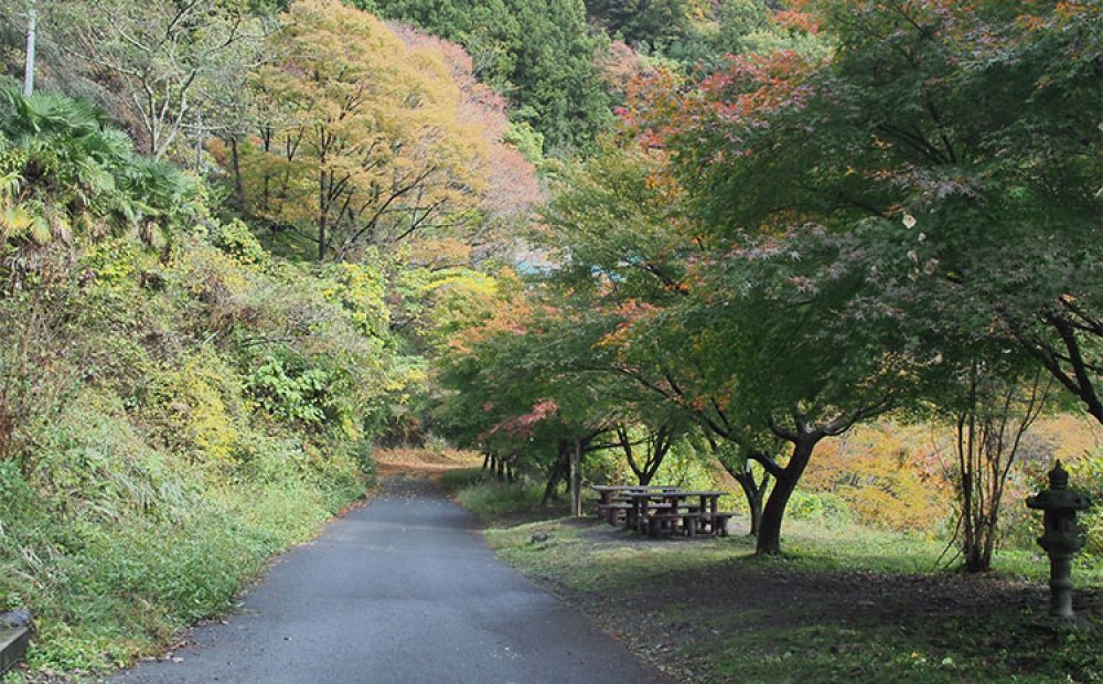 紅葉時のウォーキングもおすすめ
