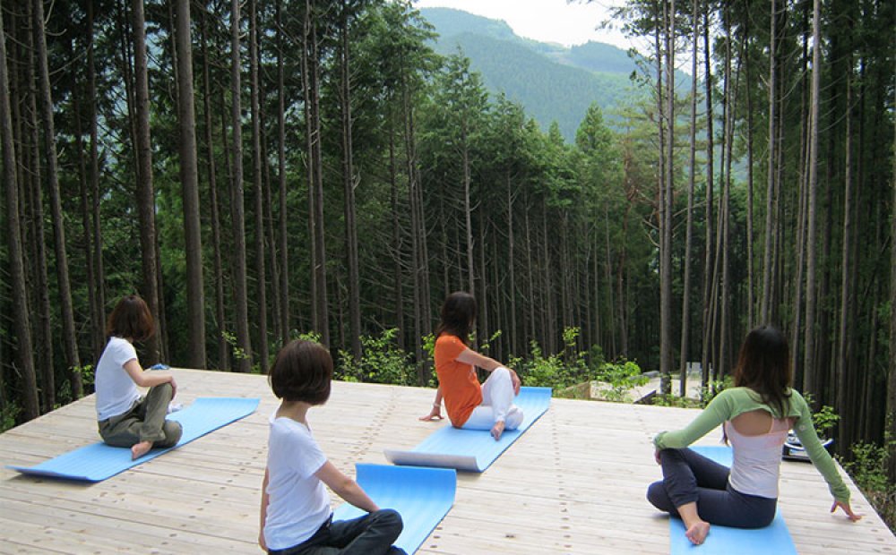 森の中のヨガでリフレッシュ