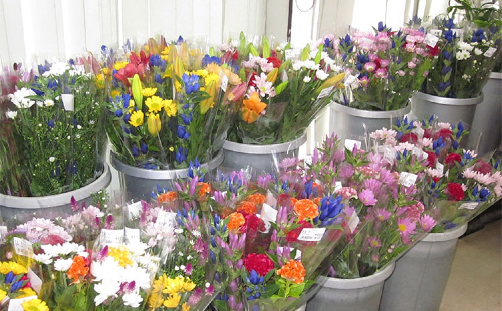 店内には色鮮やかな切り花も並ぶ