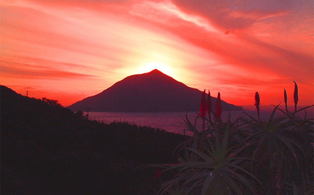 園内から望む夕日と八丈小島