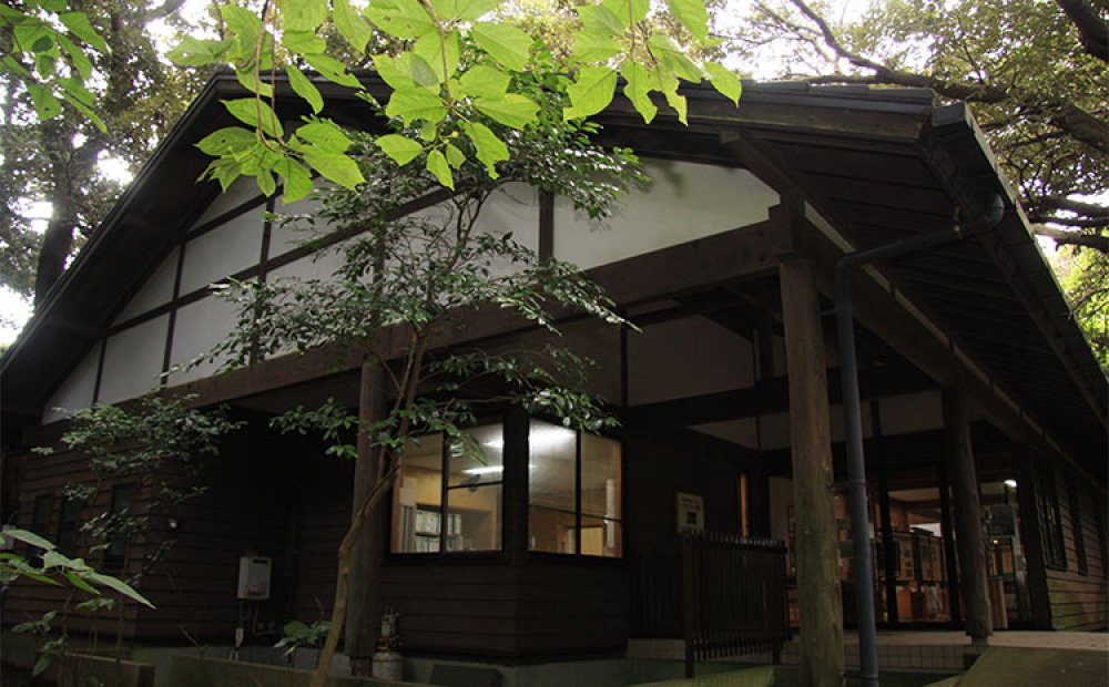 三宅島の自然を学べる施設