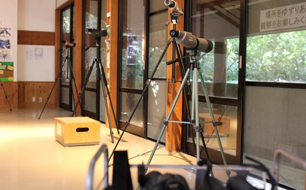 館内には自由に使える双眼鏡があり、森の野鳥を観察できる