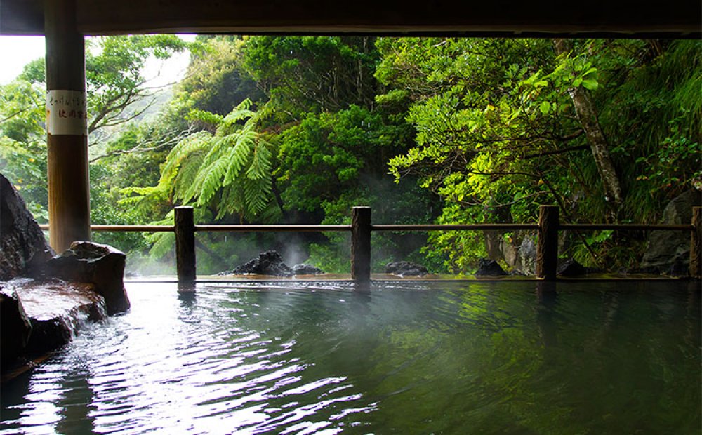 周囲の緑をやわらかに映し出す