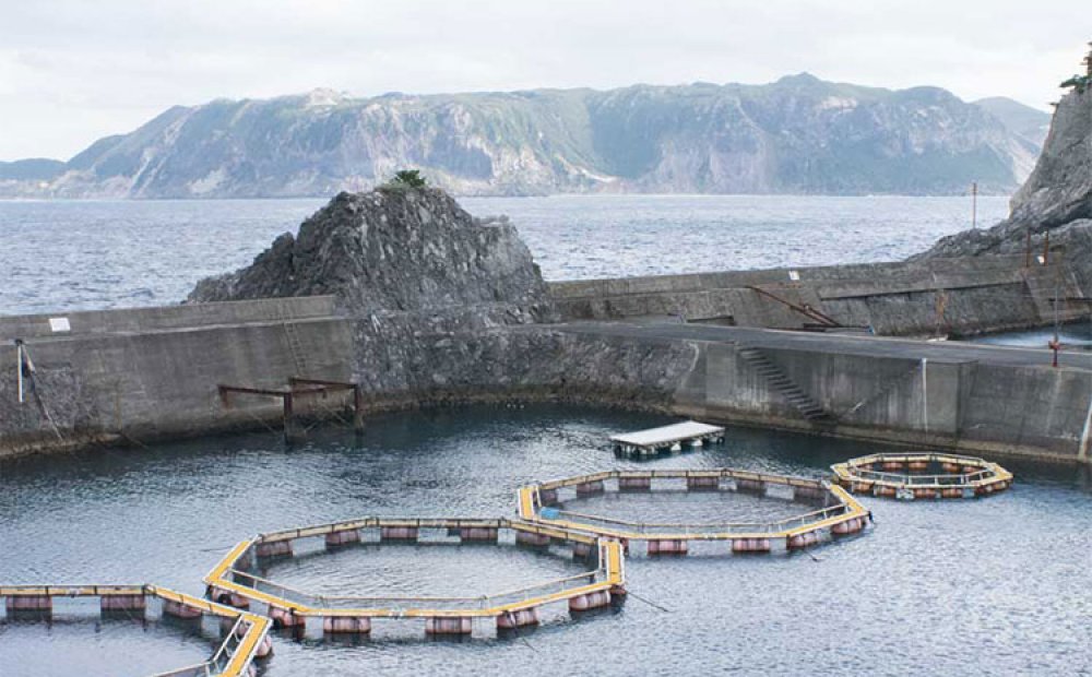 式根島の北側にある