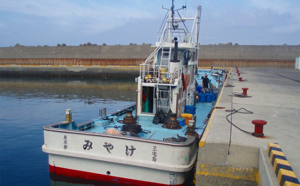 定置網漁船