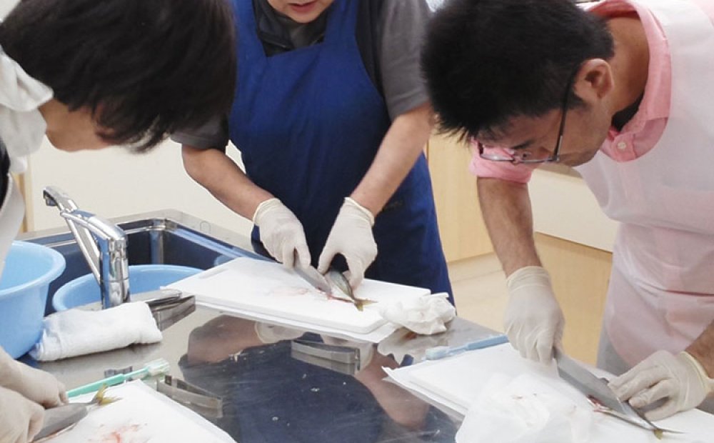 講師が一から教えてくれる