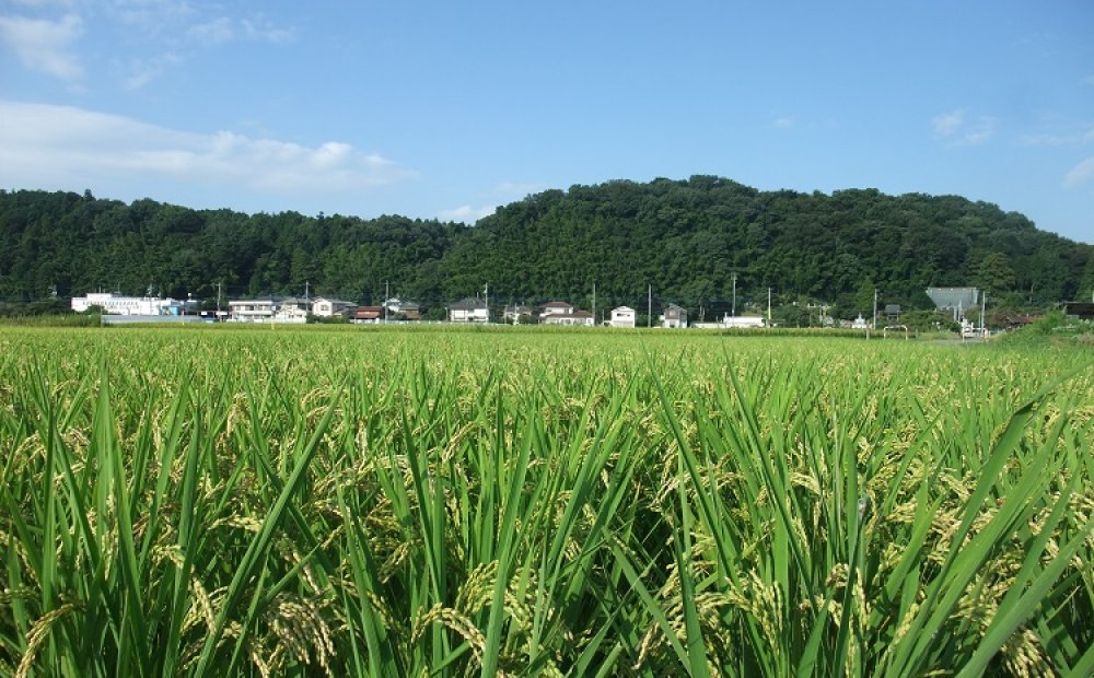 都内最大級の田園風景が広がる