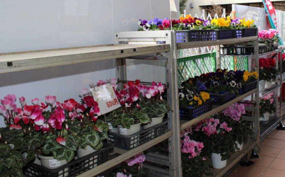 期間限定で販売される花も人気