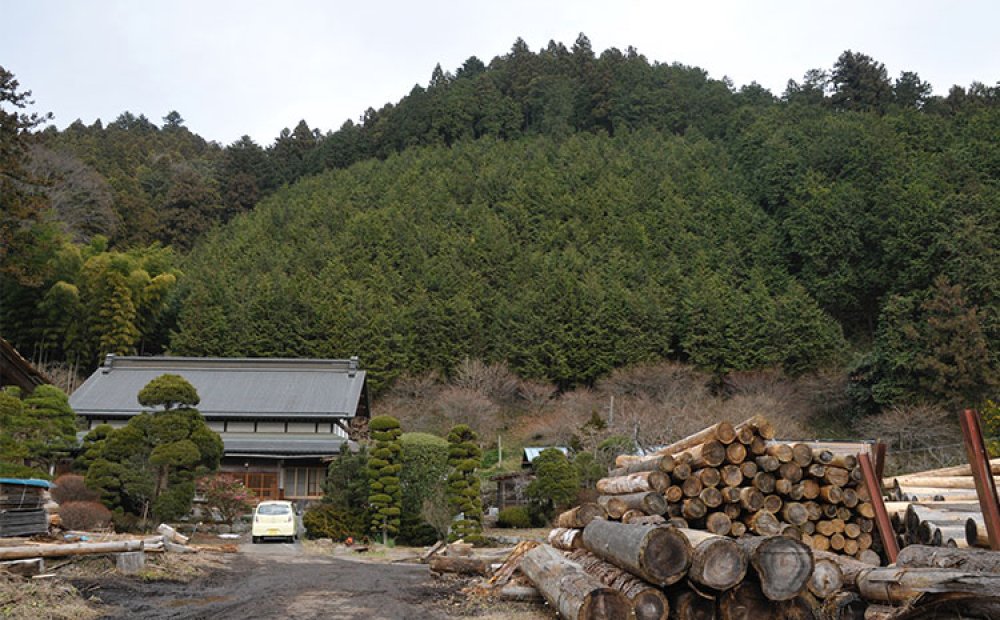 日の出町は林業が盛ん