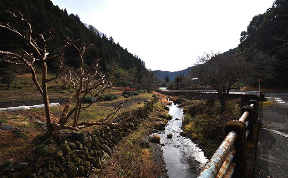 平井川の清流に沿って風景が広がる