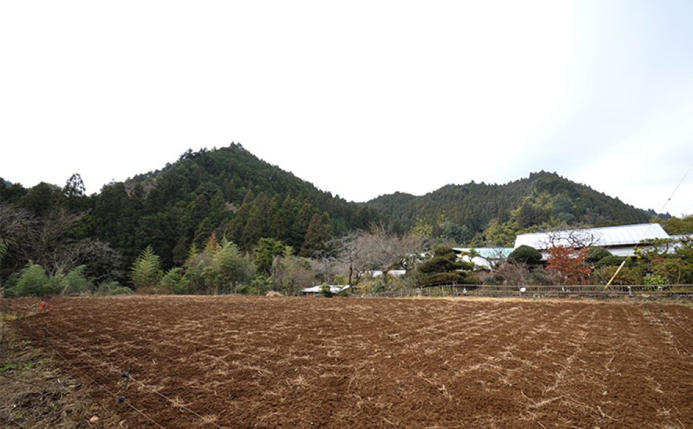 都内とは思えぬのどかな風景
