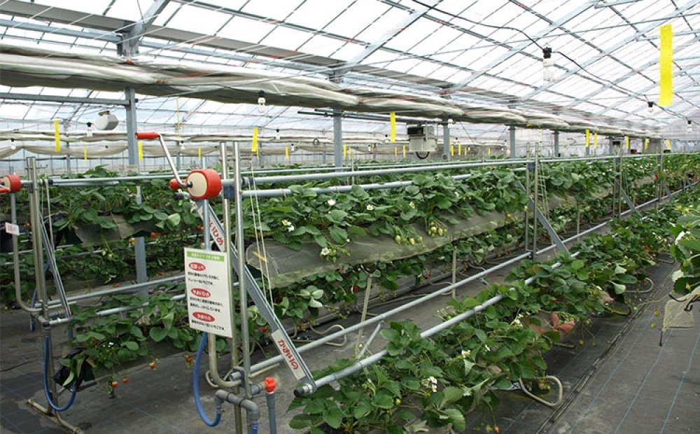 駅からも徒歩圏内で便利