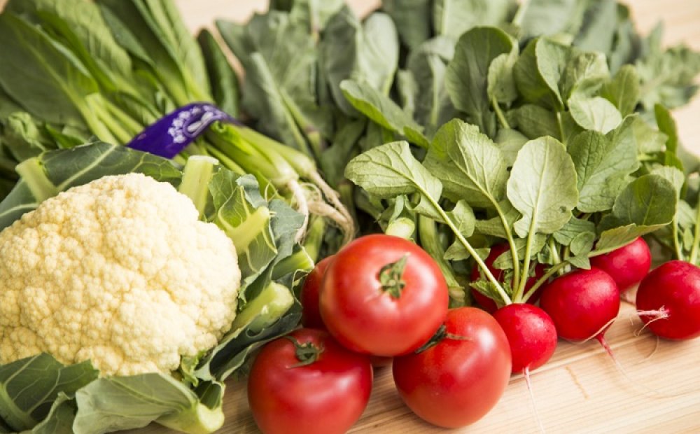 新鮮な野菜の販売イベントも