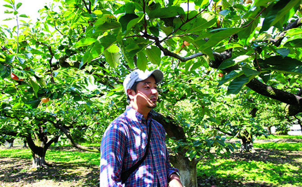 木漏れ日の中で収穫体験を