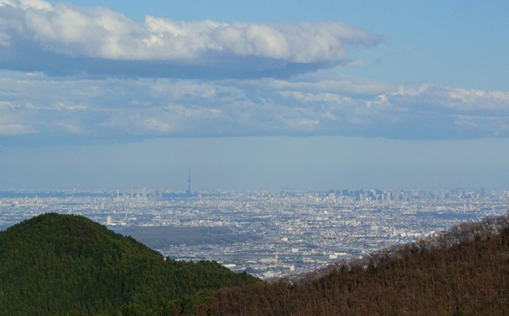 山頂からはスカイツリーも望める