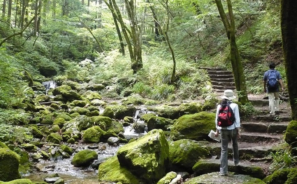 ロックガーデンにも足を延ばしたい