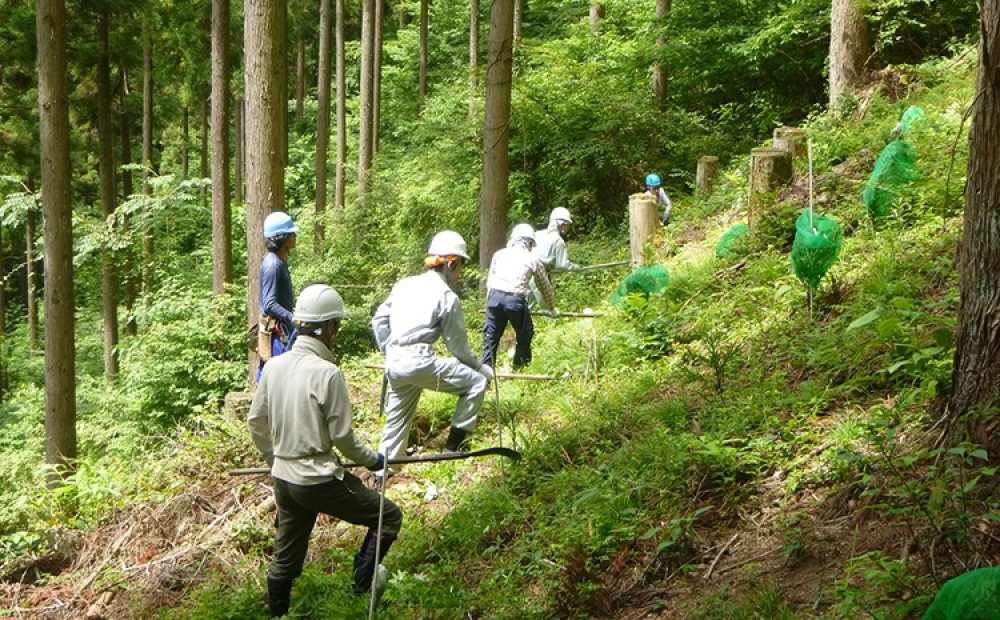 植林では下刈りも大切な仕事