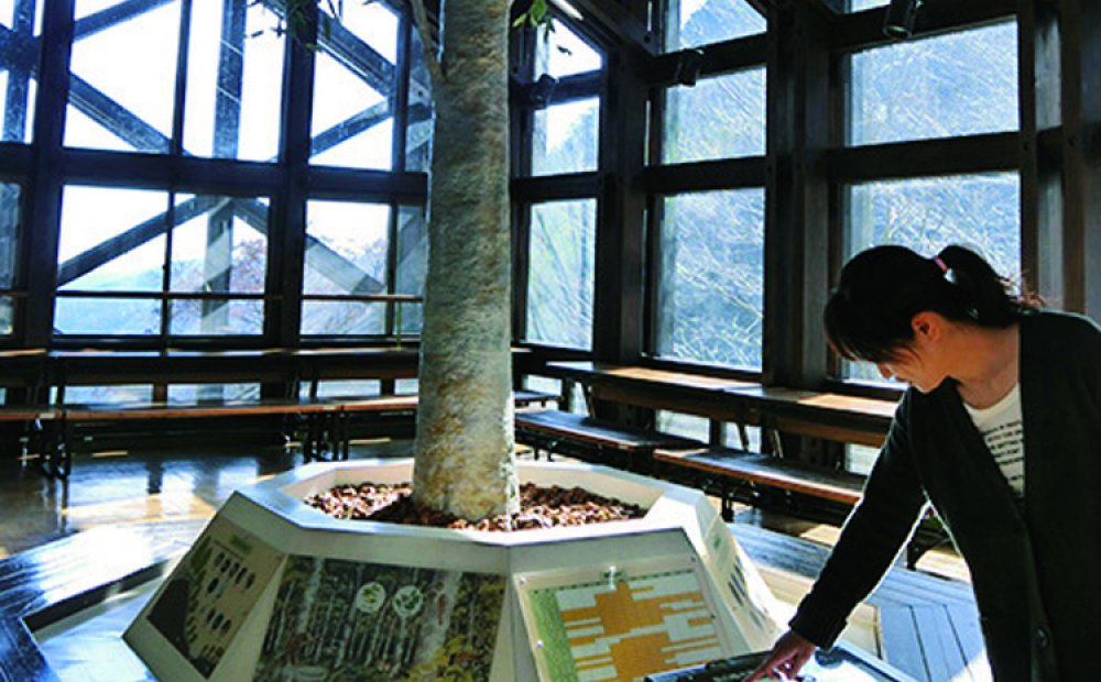 園内では野鳥の勉強もできる