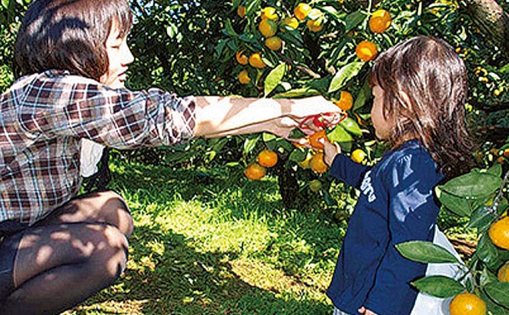 小さな子どもでも楽しめるのがうれしい