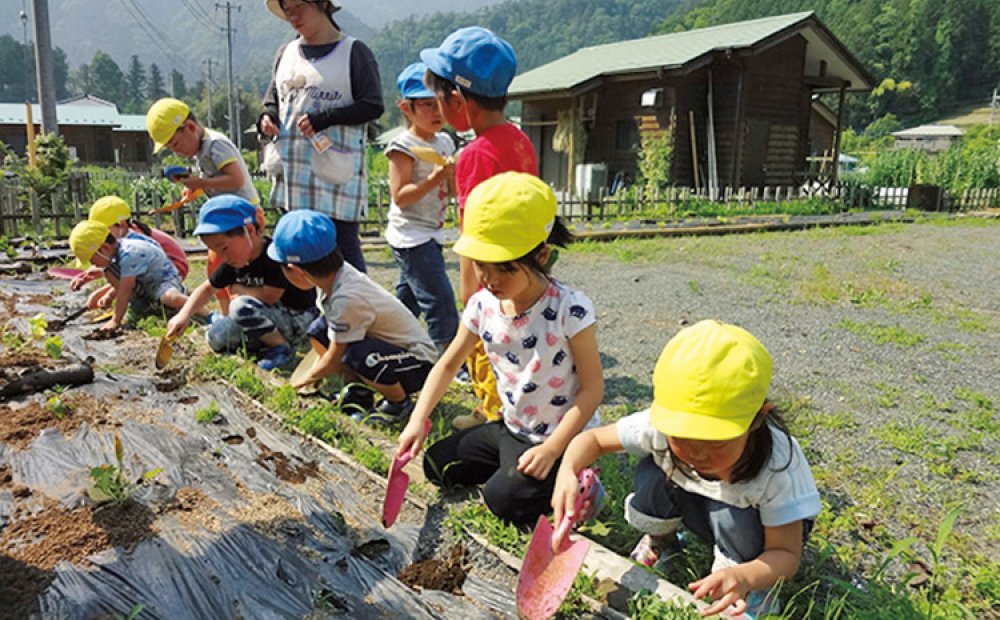 保育園の農体験も受付中