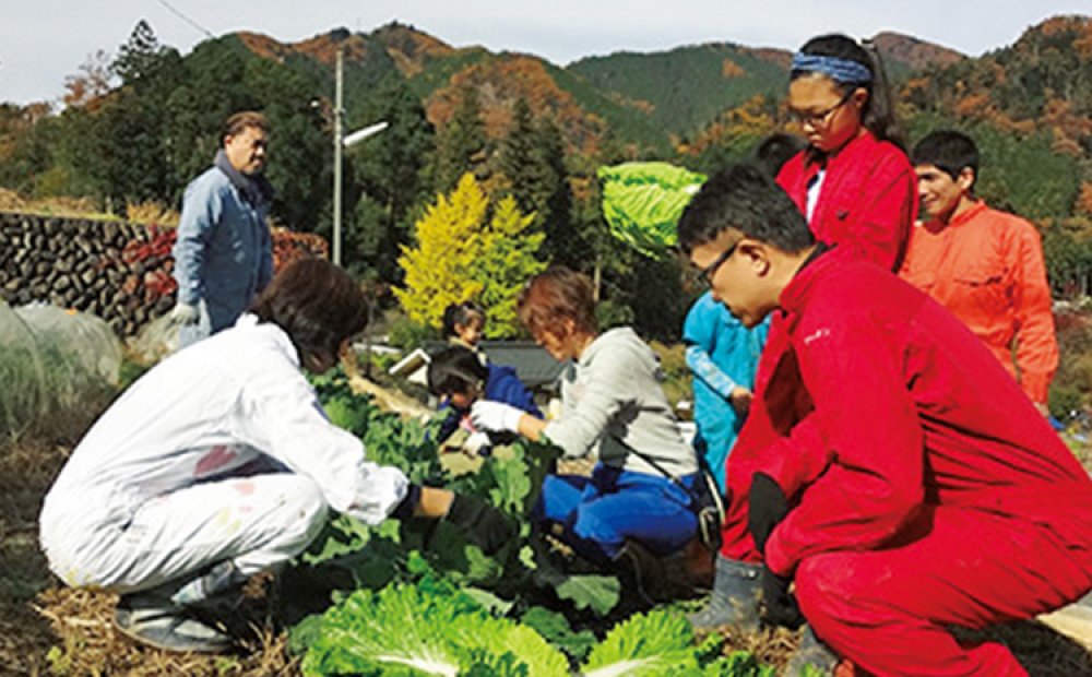 親子での収穫体験も人気