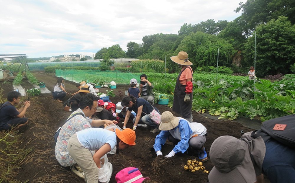 土にまみれての農作業も楽しい