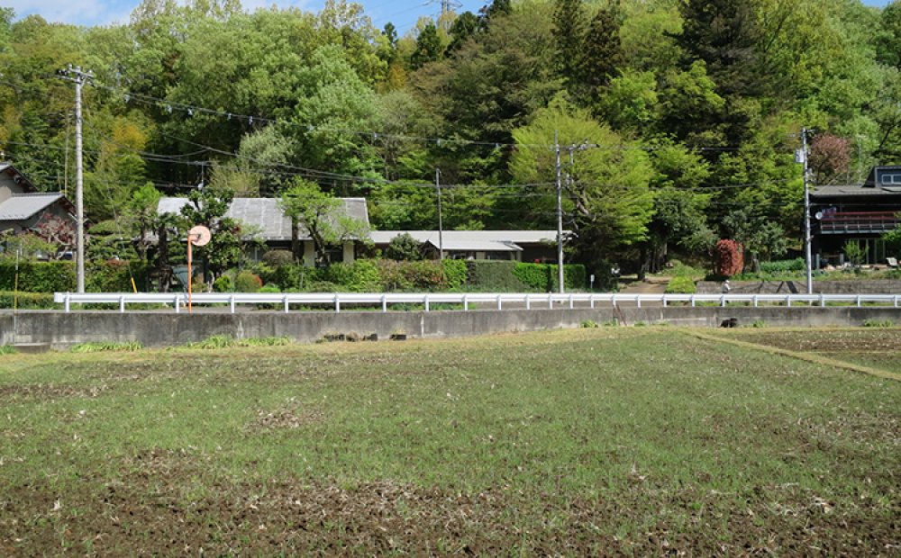 昔ながらの田園風景が広がる
