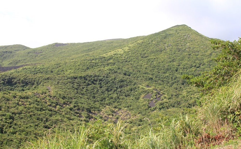 同じ噴火の水蒸気爆発により、池の水が無くなった新澪池（跡）