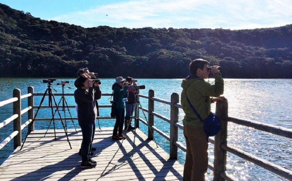 湖畔の桟橋は野鳥観察に最適