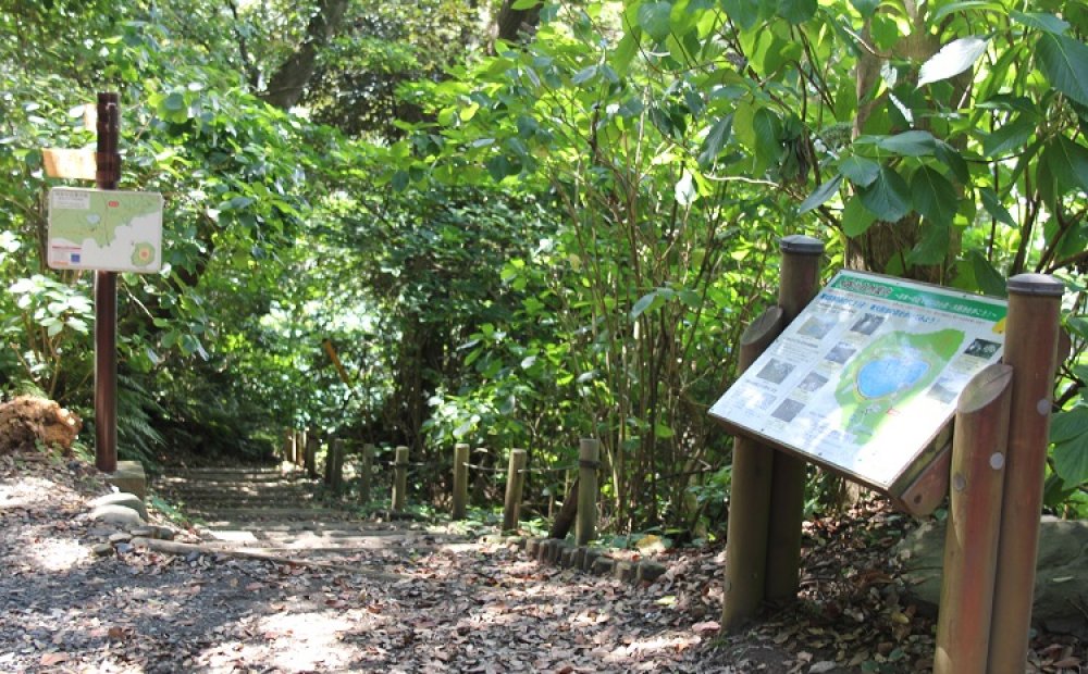 遊歩道入口には説明板も設置