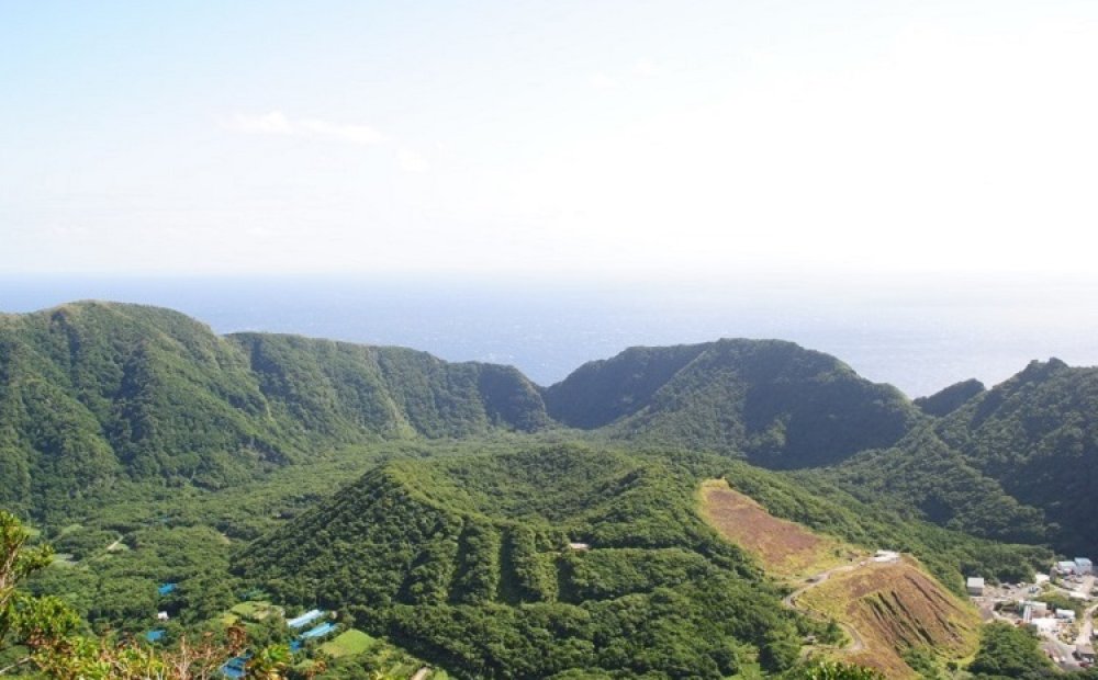 丸山の縞模様は椿の木の植林帯。登山道があり山頂まで歩ける