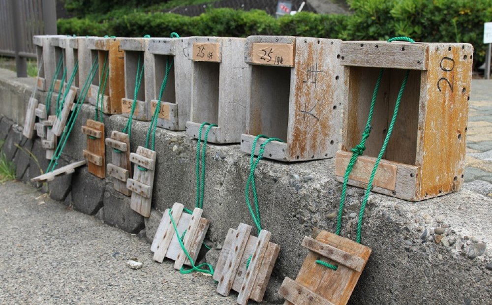 漁のエサ入れが並び、釣り宿の雰囲気満点