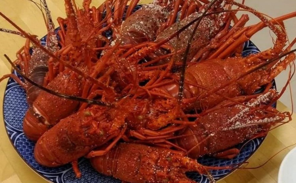 特産のイセエビは特別料理で（要予約）