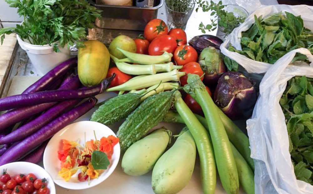 府中市の農家から仕入れた新鮮野菜