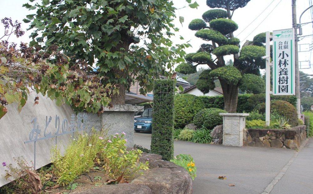 オープンナーセリーとして開放している