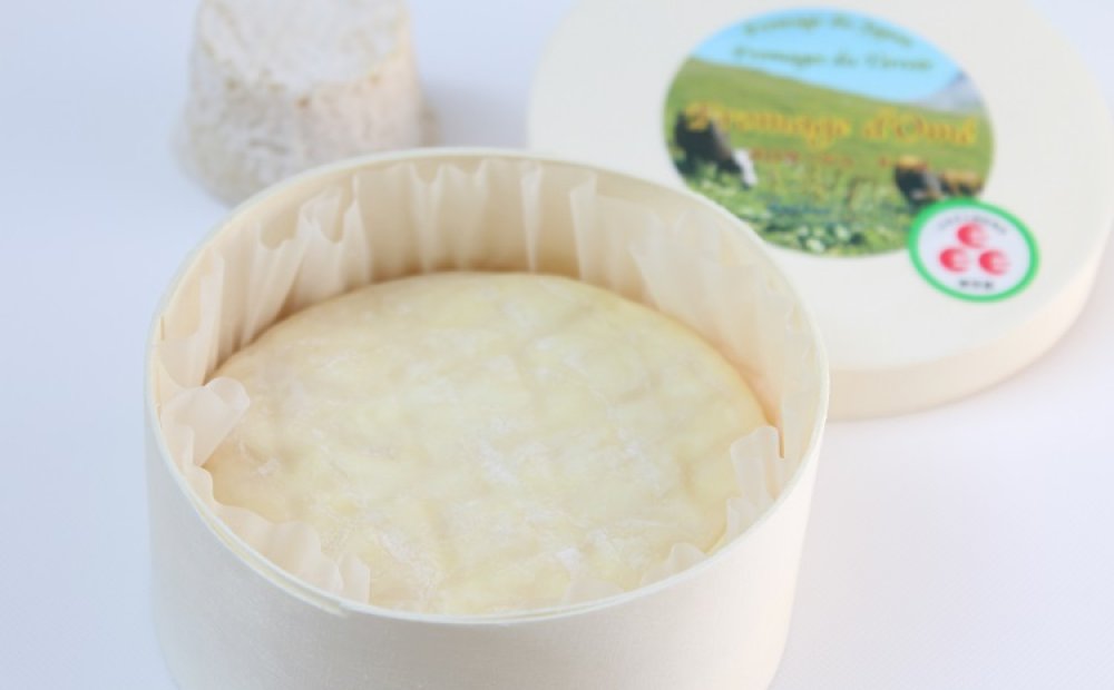 スプーンで食べたいやわらかなフロマージュ・ドーメ