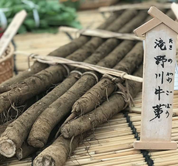 滝野川ゴボウ
