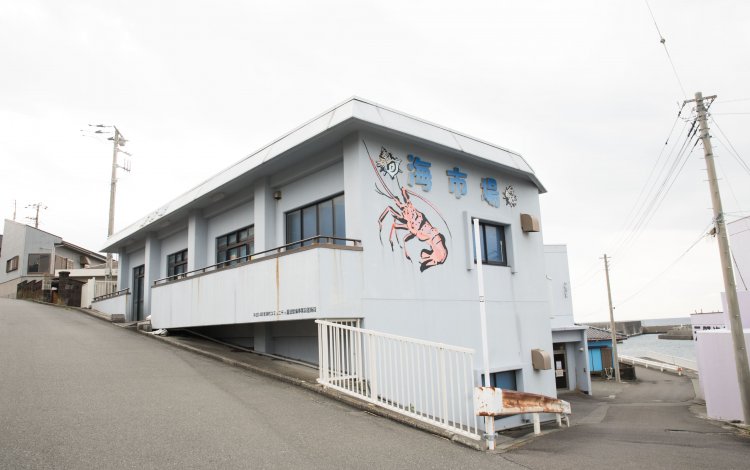 大島の海産物の魅力が凝縮したお店