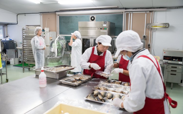 未利用魚から生まれる新しい郷土の味