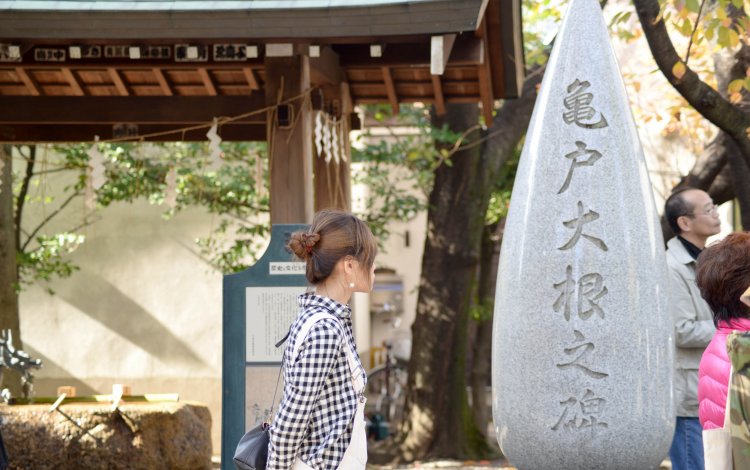 日本一小さくて真っ白な大根をこの手で！