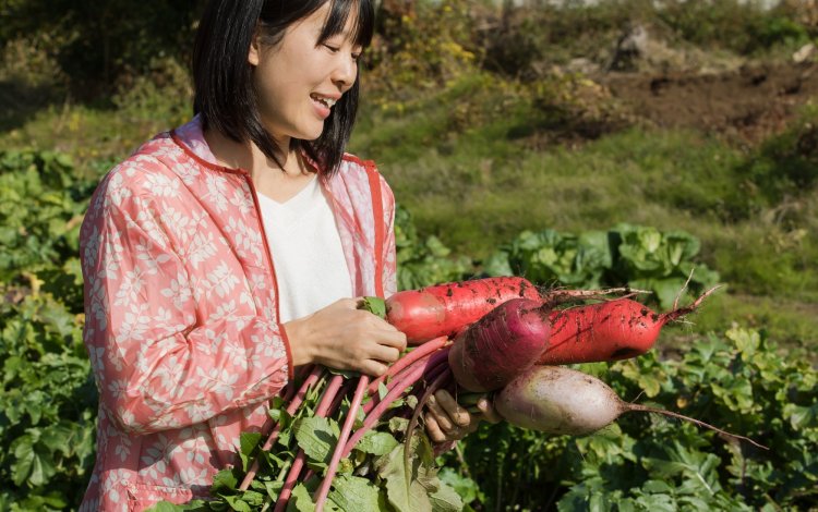野菜を育てるのがとにかく好き