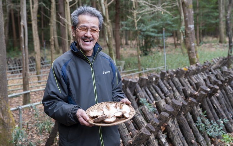 シイタケを食べよう！