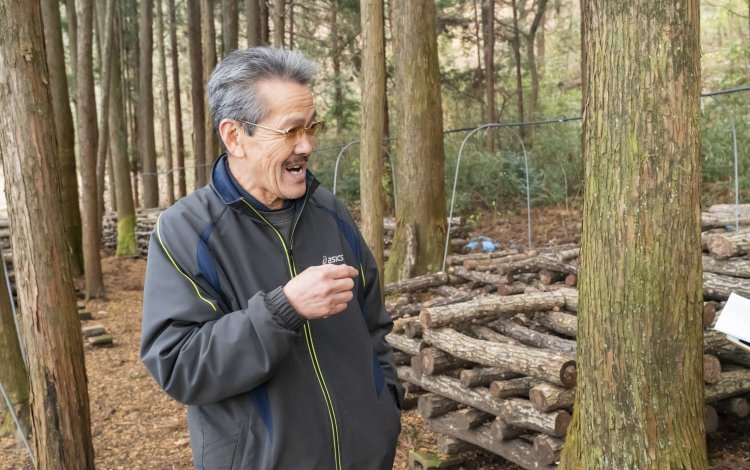 キノコの摘み取り園で行列が！