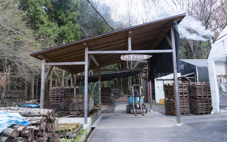 有機の王様はキノコ