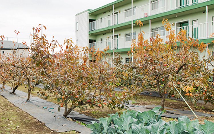 デザイナーから農業の世界へ