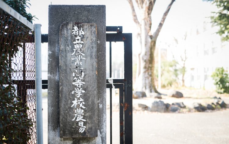 教員も一緒に学んだ東京都ＧＡＰ