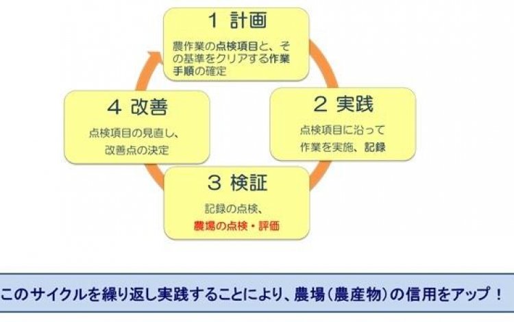 東京都ＧＡＰ認証制度とは